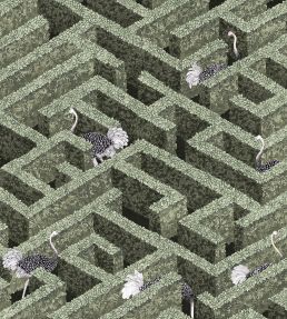 Labyrinth With Ostriches Wallpaper by Josephine Munsey Eucalyptus