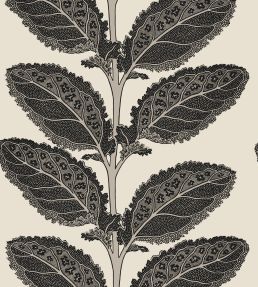 Lacinato Wallpaper by Thibaut Basalt Black