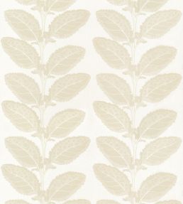 Lacinato Fabric by Thibaut Birch