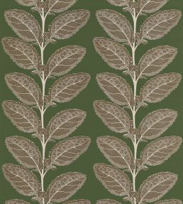 Lacinato Fabric by Thibaut Wild Sage