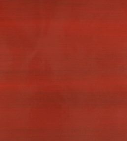 Lacquer Wallpaper by Zinc Dragon