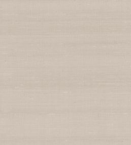 Latus Wallpaper by Arte Elephant Grey