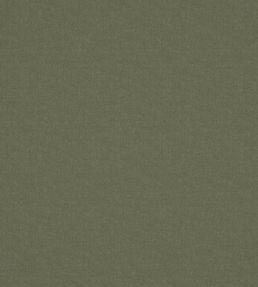 Laundered-Linen Fabric by Warwick Bayleaf