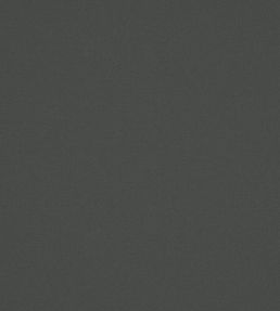 Laundered-Linen Fabric by Warwick Charcoal