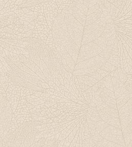Leaf Vein Wallpaper by Eijffinger White/Cream