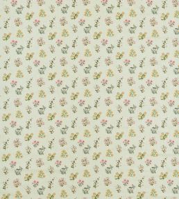 Leiden Fabric by Clarke & Clarke Blush/Sage