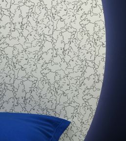 Ressemblance Wallpaper by Lelievre Canard
