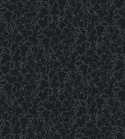 Ressemblance Wallpaper by Lelievre Ardoise