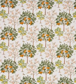 Lemon Grove Fabric by Prestigious Textiles Pear