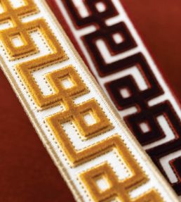 Lennox Velvet Border Trimming by Samuel & Sons Oro