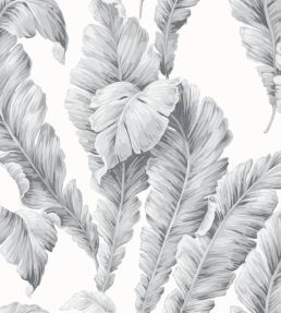 Lets Go Bananas Wallpaper by Woodchip & Magnolia Dove Grey