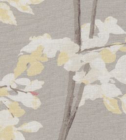 Beech Linen Fabric by Lewis & Wood Dove