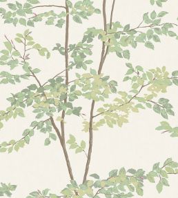 Beech Wallpaper by Lewis & Wood Document Green