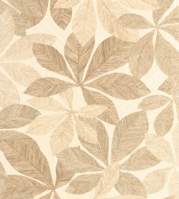 Lignaria Wallpaper by Caselio Blanc Beige