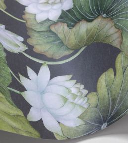 Lily Lotus Wallpaper by Cole & Son White on Charcoal