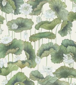 Lily Lotus Wallpaper by Cole & Son White on Cream