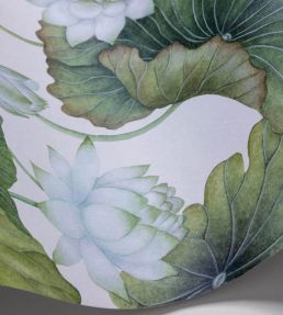 Lily Lotus Wallpaper by Cole & Son White on Cream