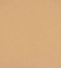Linea Fabric by Manuel Canovas Abricot