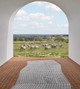 GAN Lines rug Grey 393334 Grey