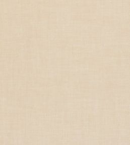 Linoso Wide Width Fabric by Clarke & Clarke Buff