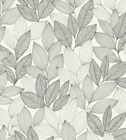 Little Botanica Wallpaper by Caselio Noir et blanc