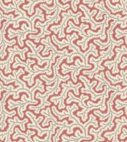 Little Dulcie Wallpaper by Ian Sanderson Coral