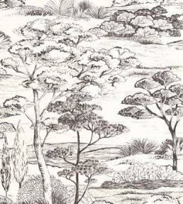 Littoral Wallpaper by Casadeco Noir Fusain