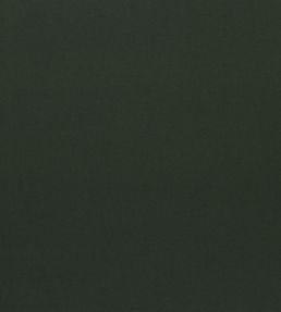 Loden Fabric by Designers Guild Fir