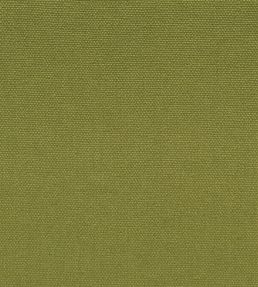 Loiret Fabric by Designers Guild Grass