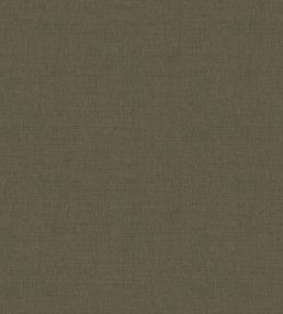 Loomspun Fabric by Warwick Turtle