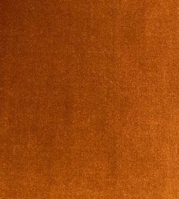 Lord Velvet Fabric by Ian Sanderson Amber