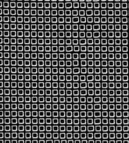 Loretta Fabric by Wemyss Dice