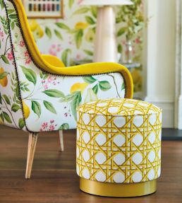 Lovelace Fabric by Harlequin Honey / Paper Lantern