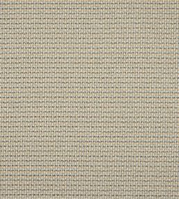 Lucena Fabric by Colefax and Fowler Old Blue