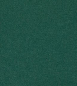 Lugo Outdoor Fabric by Clarke & Clarke Forest