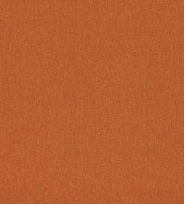 Lugo Outdoor Fabric by Clarke & Clarke Spice