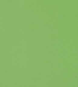 Lyra Velvet Fabric by Thibaut Grass