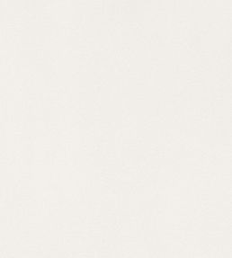 Lyra Velvet Fabric by Thibaut Oyster
