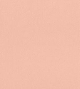 Lyra Velvet Fabric by Thibaut Petal
