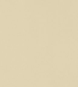 Lyra Velvet Fabric by Thibaut Suede