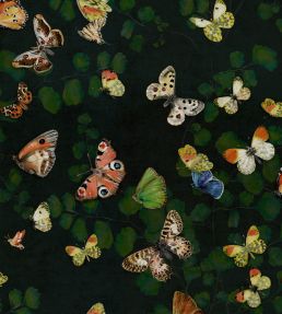 Magic Butterflies Wallpaper by Coordonne Night