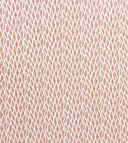 Magma Fabric by Casal Blush