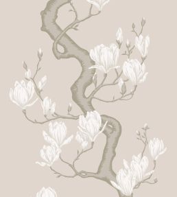 Magnolia Tree Wallpaper by Cole & Son Soft Cream & Powder