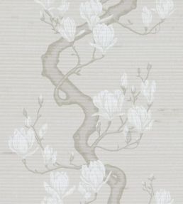 Magnolia Tree - Raw Slub Silk Wallpaper by Cole & Son Soft Cream & Powder