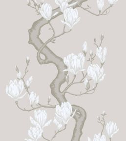 Magnolia Tree - Non Slub Silk Wallpaper by Cole & Son Soft Cream & Powder
