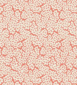 Maldives Wallpaper by Thibaut Coral