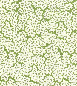 Maldives Fabric by Thibaut Green