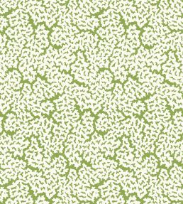 Maldives Wallpaper by Thibaut Green