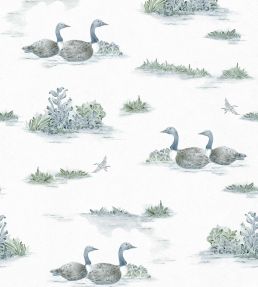 Mallard Duck Wallpaper by Coordonne Aqua