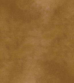 Manade Fabric by Casamance Ambre